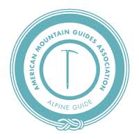 AMGA Alpine Guide